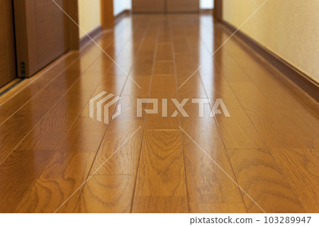 hallway flooring 103289947