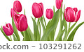 Flower arrangement with beautiful tulips on a white background. Generative AI 103291262