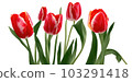 Flower arrangement with beautiful tulips on a white background. Generative AI 103291418