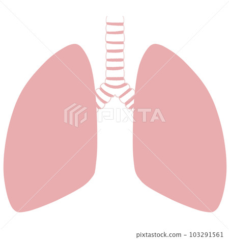 Illustration of unhealthy lungs 103291561