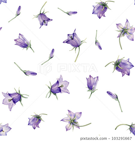 Seamless pattern watercolor summer flowers. Scilla. Campanula patula, little bell, bluebell, rapunzel, harebell. Illustration of delicate lilac flowers. forest flowers bellflower 103291667