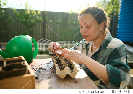 Female gardener agriculturist sorting and sowing seeds into biodegradable peat cassettes with fertilized black earth, cultivating organic vegetables in eco farm. Sustainable lifestyle. Agriculture 103291778