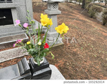 a visit to a grave  103292814
