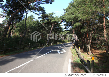 Kehi no Matsubara, Tsuruga Bay, Matsubayashi, Matsubara Beach, 福井縣, Tsuruga City, Tsuruga Bay, Kehi no Matsubara Beach, Beach, Fishing Area Kehi no Matsubara, Tsuruga Bay, Matsubayashi, Matsubara Beach, 福井縣, Tsuruga City, Tsuruga Bay, Kehi no Matsubara Beach, Beach, Fishing Area 103292961