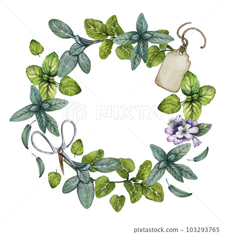 Wreath of oregano, sage, tag. Watercolor illustration Wreath of oregano, sage, tag. Watercolor illustration 103293765