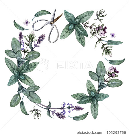 Wreath of sage leaves and flowers. Watercolor illustration 103293766