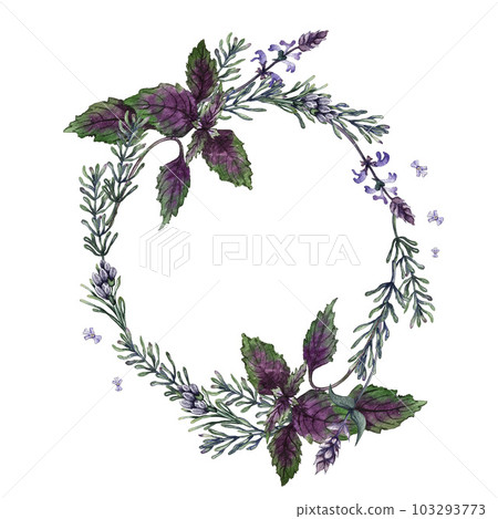 Wreath of basil, rosemary, thyme and sage. Watercolor illustration Wreath of basil, rosemary, thyme and sage. Watercolor illustration 103293773