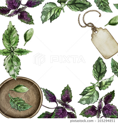Frame of green and purple basil leaves. Watercolor illustration 103294851