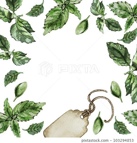 Frame of green basil leaves. Watercolor illustration 103294853