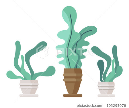 Houseplants in ceramic pots isolated at white background, decorative houseplants, decor for room Houseplants in ceramic pots isolated at white background, decorative houseplants, decor for room 103295076