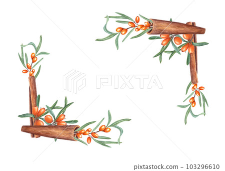 Watercolor rectangle frame with branches of sea buckthorn, cinnamons. Hand drawn illustration isolated on white background. For greetings, invitations. Christmas style. 103296610