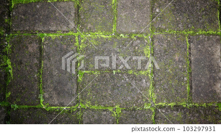 Photos of concrete brick garden paths that look old and overgrown with moss for wallpaper and background. 103297931