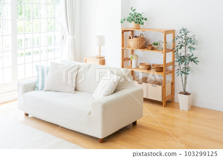 家裡空蕩蕩的客廳 103299125