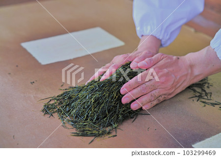 札幌丁香節丁香茶屋 札幌丁香節丁香茶屋 103299469