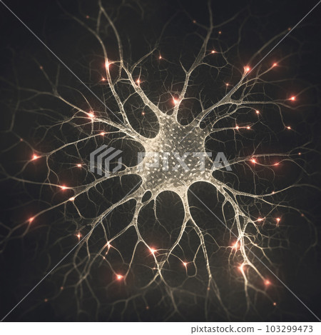 Human Nervous System 103299473