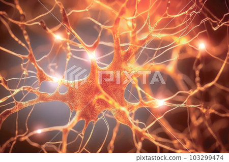 Human Nervous System 103299474