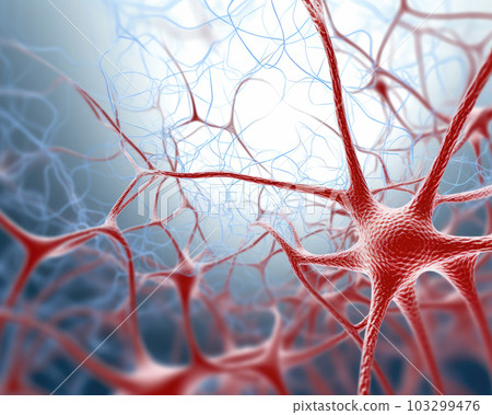 Human Nervous System 103299476