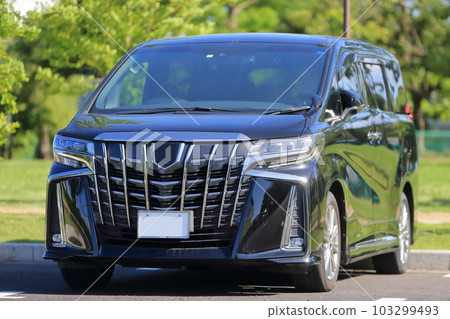 black minivan 103299493