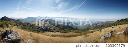 summer panorama of the field and the blue sky in the mountains summer panorama of the field and the blue sky in the mountains 103300679