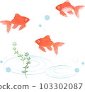 金魚插畫水彩風格 103302087