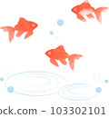 金魚插畫水彩風格 103302101