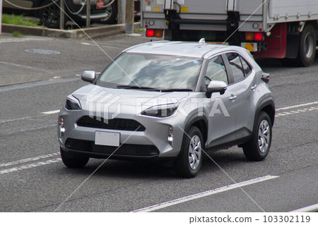 SUV 多用途車道路駕駛 103302119