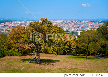 A lawn in a city park with a view of the city in a park in Budapest 103302329