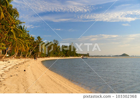 Incredible sandy beach on the ocean. With palm trees and no people. Sunset photo Incredible sandy beach on the ocean. With palm trees and no people. Sunset photo 103302368