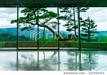 Fresh green reflection Fresh green reflection 103302432