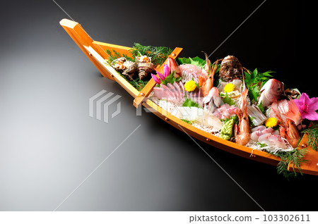 船盛生魚片拼盤/複製空間 103302611