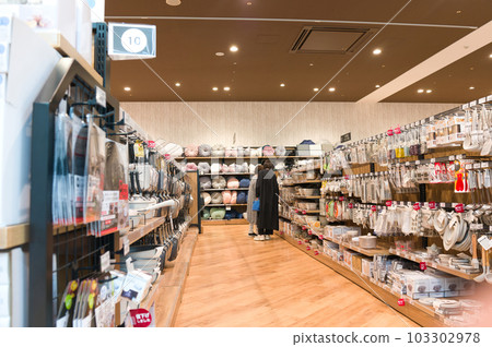 May: Shopping at the shopping center 103302978