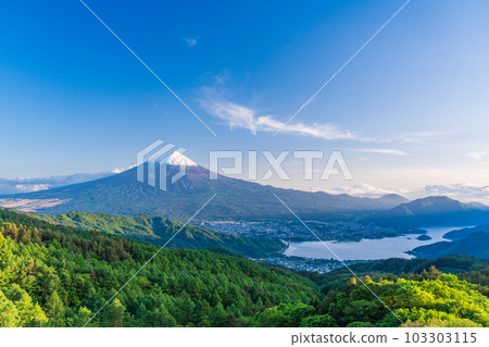 [山梨縣]初夏白雪皚皚的富士山從新鮮的綠色禦坂道 103303115