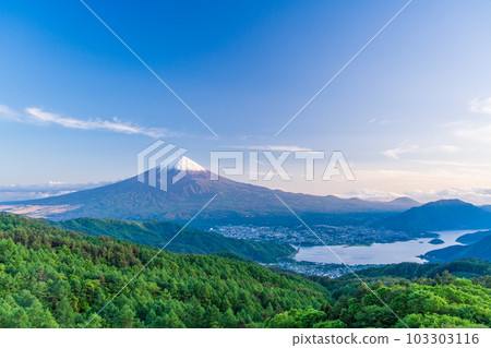 [山梨縣]初夏白雪皚皚的富士山從新鮮的綠色禦坂道 103303116