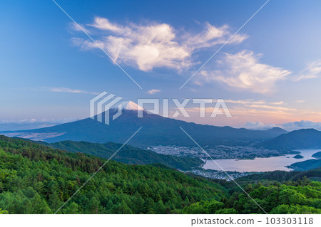 [山梨縣]初夏白雪皚皚的富士山從新鮮的綠色禦坂道 103303118