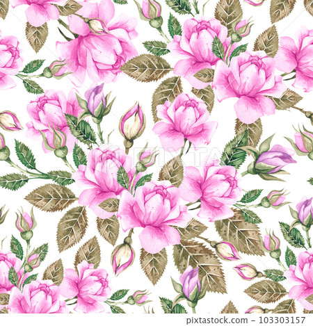 Watercolor pattern with pink roses on white background Watercolor pattern with pink roses on white background 103303157