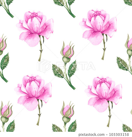 Watercolor pattern with pink roses on white background Watercolor pattern with pink roses on white background 103303158