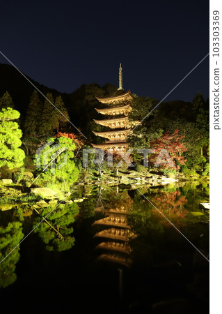 Rurikoji Temple Five Story Tower 103303369