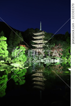 Rurikoji Temple Five Story Tower Rurikoji Temple Five Story Tower 103303370