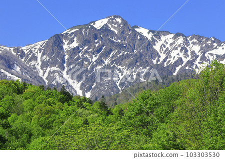 北海道富良野市蘆別山殘雪和新綠森林 103303530