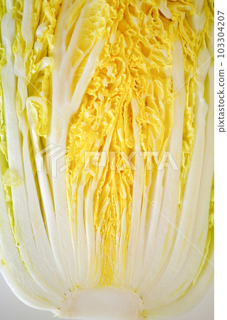 Chinese cabbage cross section Chinese cabbage cross section 103304207