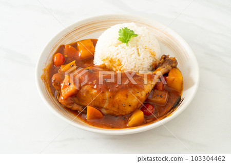 chicken stew with tomatoes, onions, carrot and potatoes on plate with rice 103304462