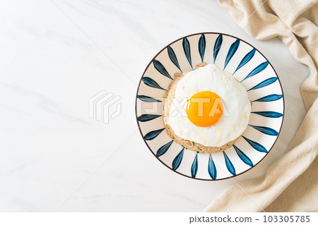 fried rice with pork and fried egg in Japanese style fried rice with pork and fried egg in Japanese style 103305785