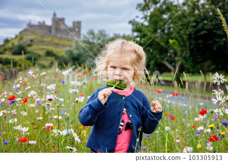 Cute toddler girl with Irish cloverleaf lollipop with Rock of Cashel castle on background. Happy healthy child on flower meadow eating unhealthy sweets. Family and small children vacations in Ireland 103305913