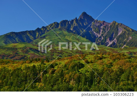 倒映在藍天中的利尻富士 103306223