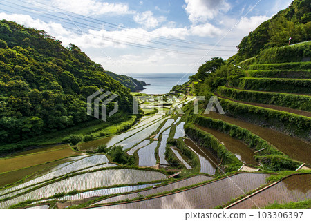 Hamanoura terraced rice field (horizontal), Saga Prefecture Hamanoura terraced rice field (horizontal), Saga Prefecture 103306397