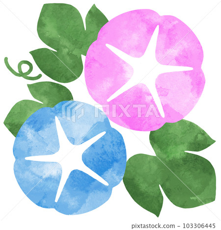 Morning glory watercolor illustration 103306445