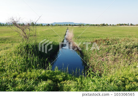 濕地和人行道 濕地和人行道 103306565