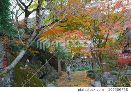 紅葉美麗的福岡縣田川區曹洞宗古座關寺 紅葉美麗的福岡縣田川區曹洞宗古座關寺 103306758