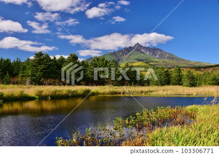 Minamihama Marsh and Mt. Rishiri in early autumn 103306771