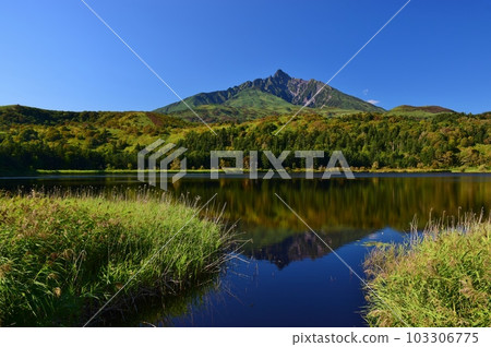 Otatomari Marsh and Mt. Rishiri in early autumn Otatomari Marsh and Mt. Rishiri in early autumn 103306775